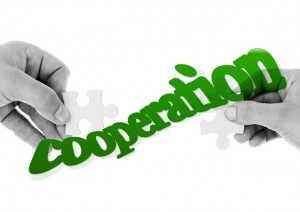 cooperation-384084_640